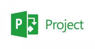 ms-project